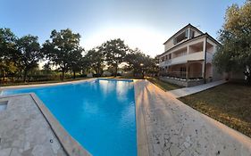 Pansion Oliva